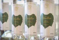 Organic Pisco - pure