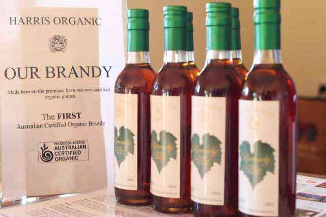 Organic Brandy bottles