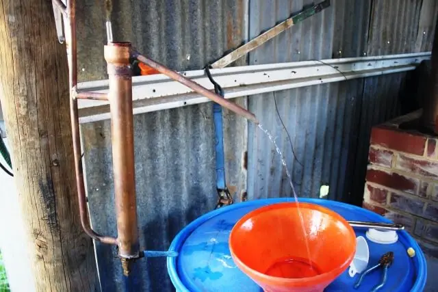 bertha the still