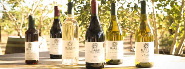 Organic Brandy