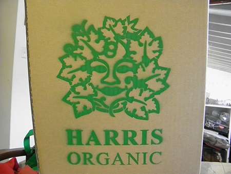organic vine man